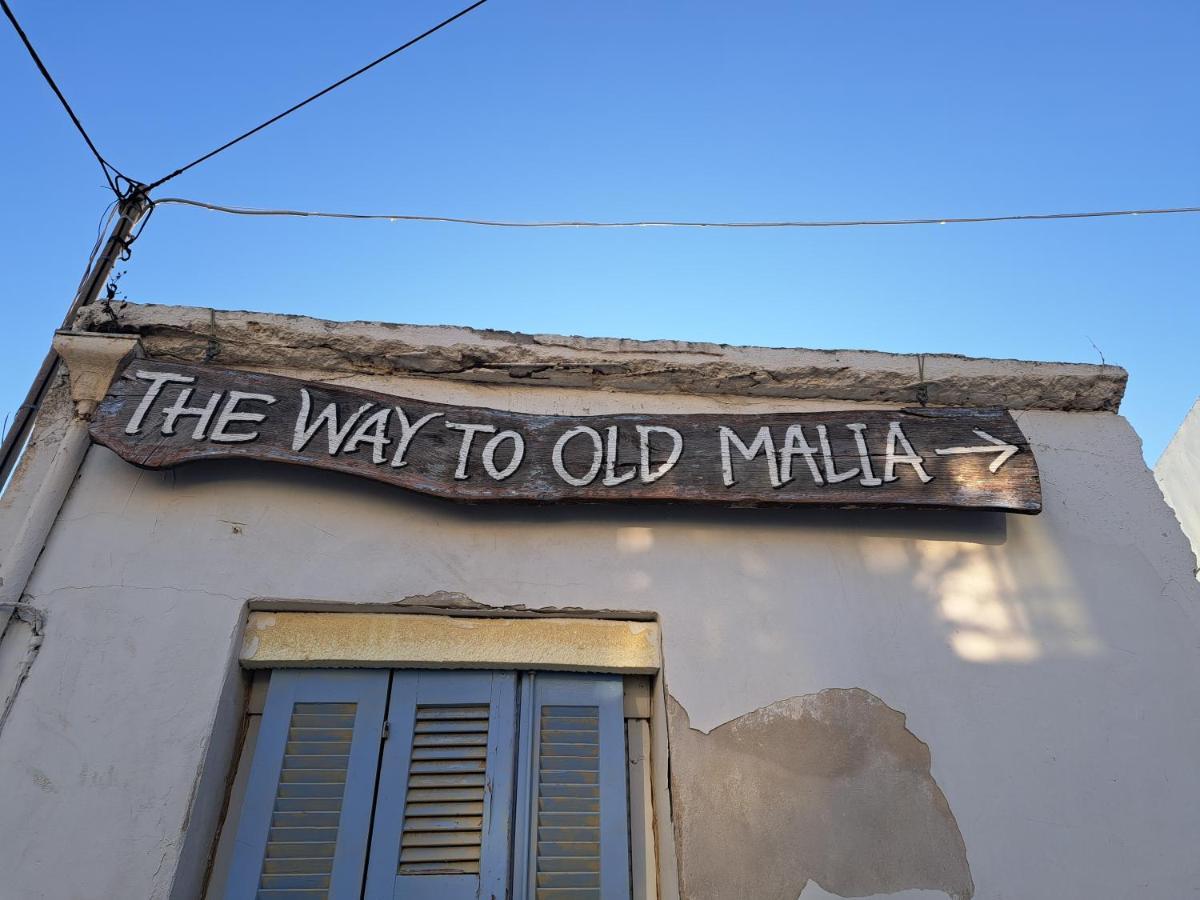 Stella Apartments Malia Exterior photo